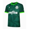 Maillot de Supporter Palmeiras 2023-24 Domicile Pour Homme